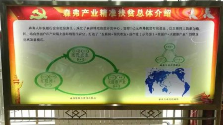 陜西森弗:億萬(wàn)資金助力扶貧